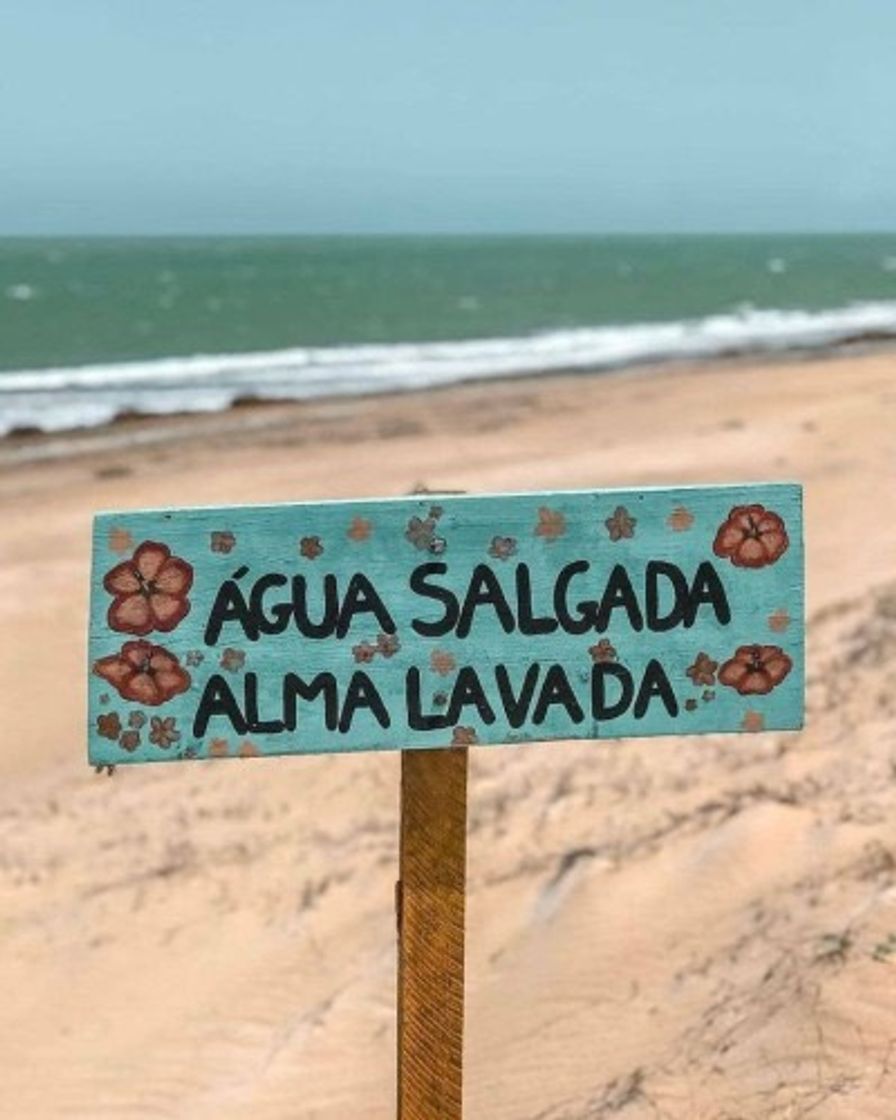 Social Surf 