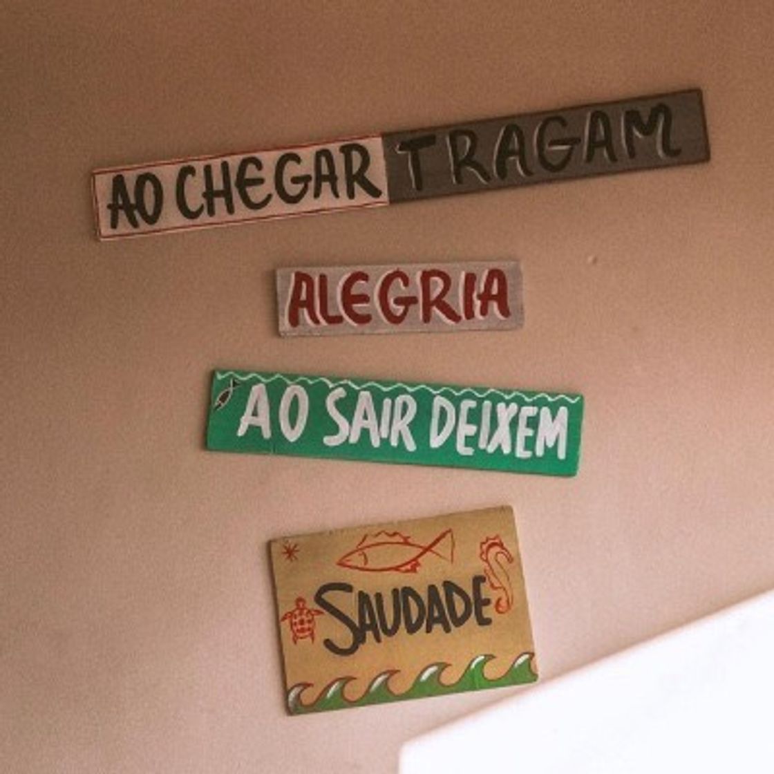 Social Surf