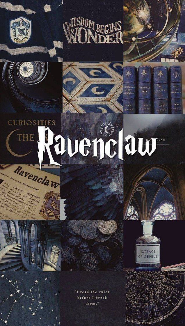 Fashion Ravenclaw