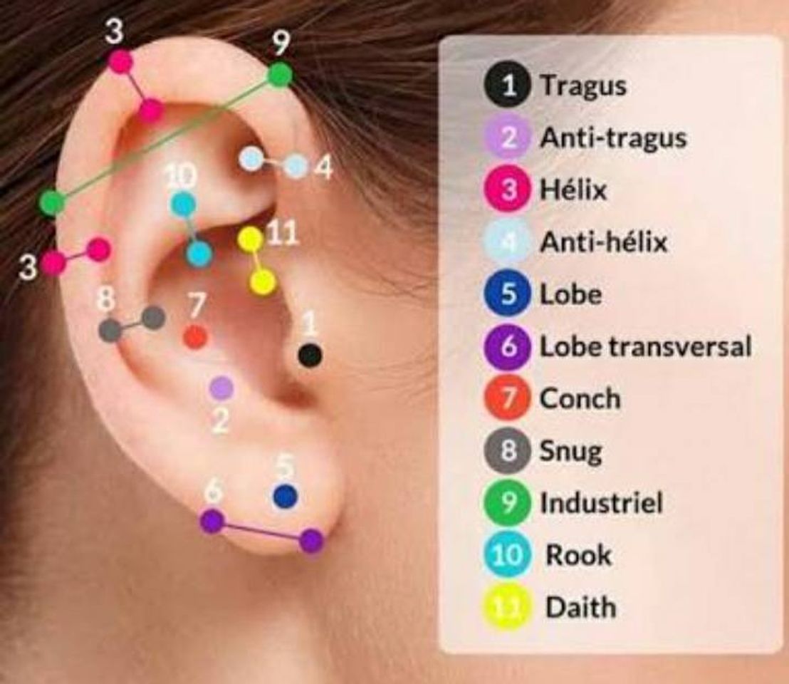 Fashion Tipos de piercings