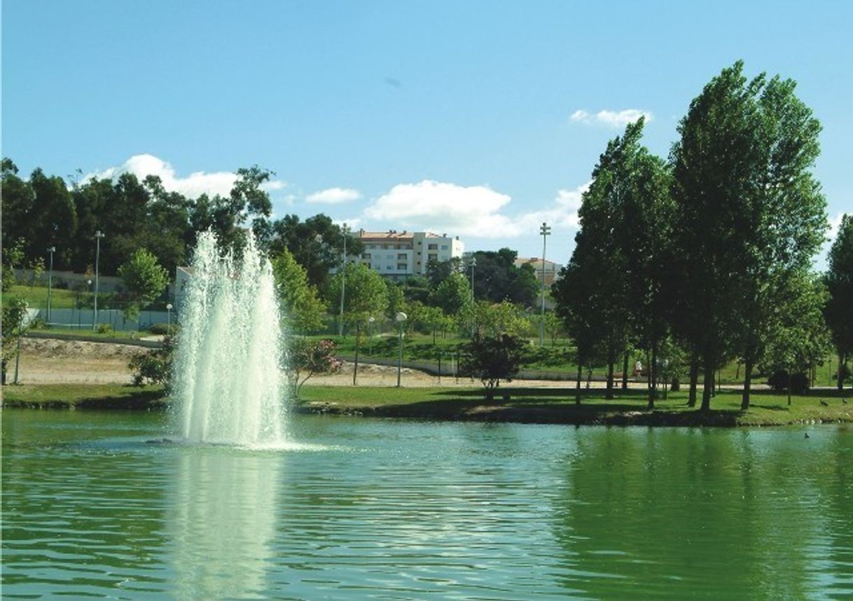 Lugar Parque da Cidade