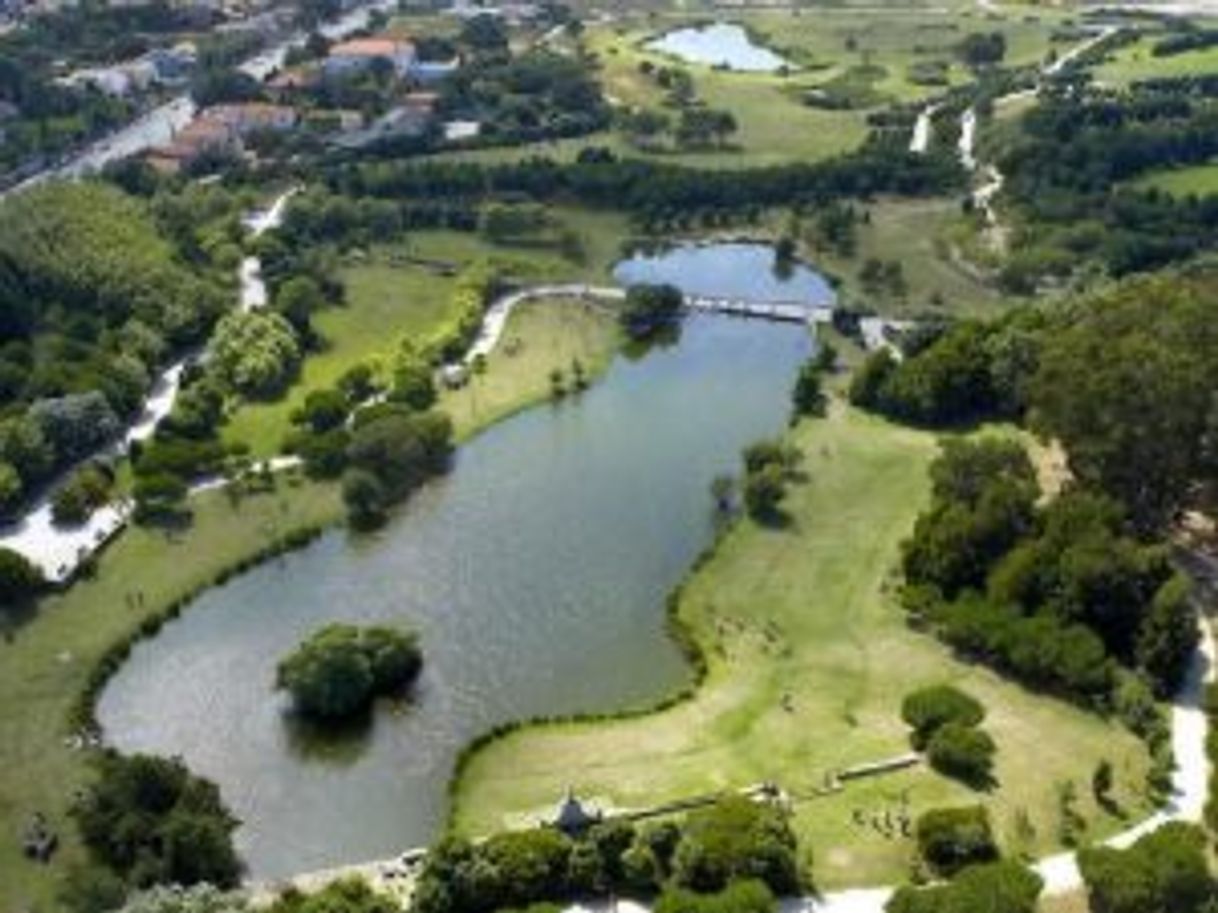 Lugar Parque da Cidade