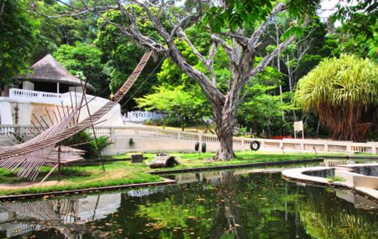 Lugar Parque Zoobotânico Arruda Câmara (Bica)