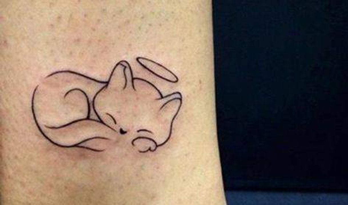 Moda Tatuagem homenagem gato