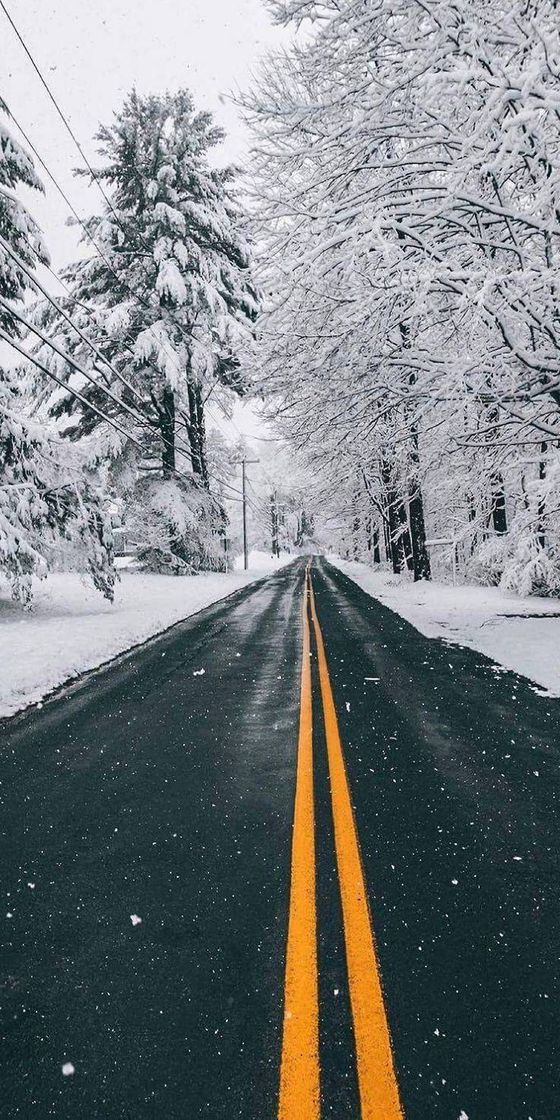 Moda Neve e Estrada ❄️🛣️