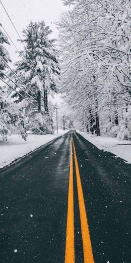 Neve e Estrada ❄️🛣️