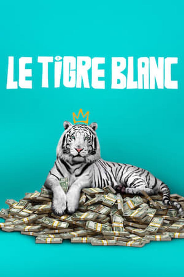 Movie Tigre Blanco