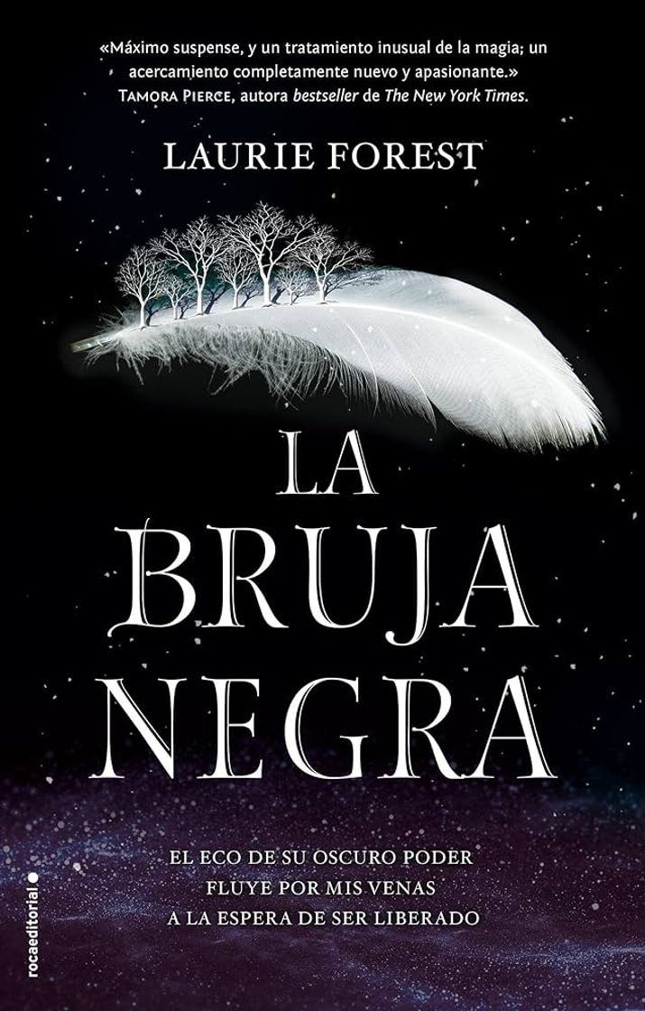Libro La bruja negra