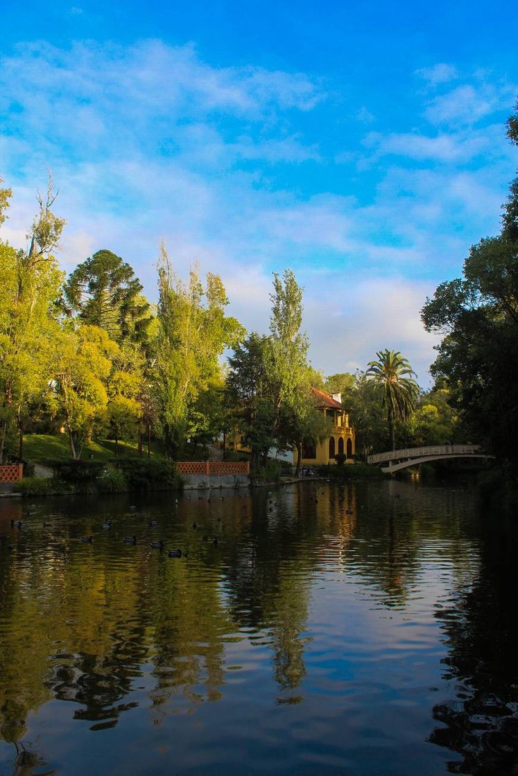 Lugar Parque da Macaca