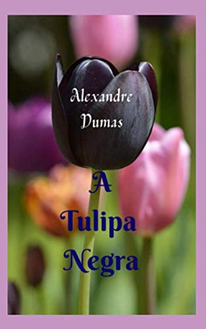 Books A Tulipa Negra: História e aventura cativantes, com grandes intrigantes do início