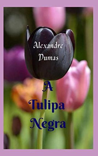A Tulipa Negra: História e aventura cativantes, com grandes intrigantes do início