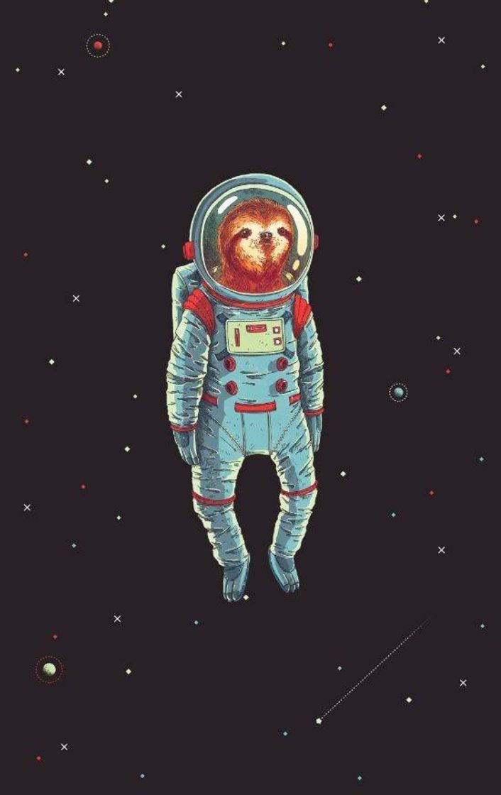 Moda Slothstronauts Art