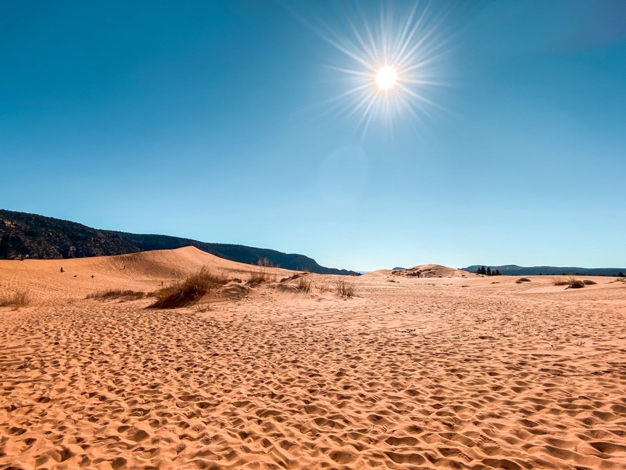 Places Coral Pink Sand Dunes Road