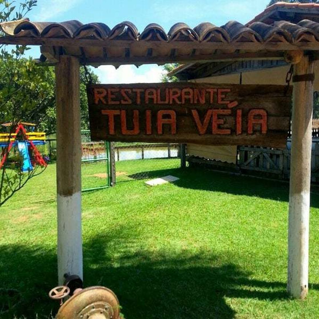 Restaurants Restaurante Tuia Veia