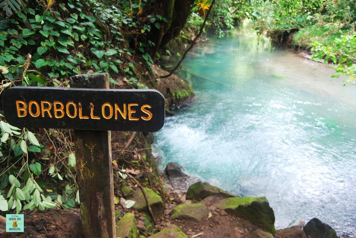 Lugar Tenorio Volcano National Park - Rio Celeste