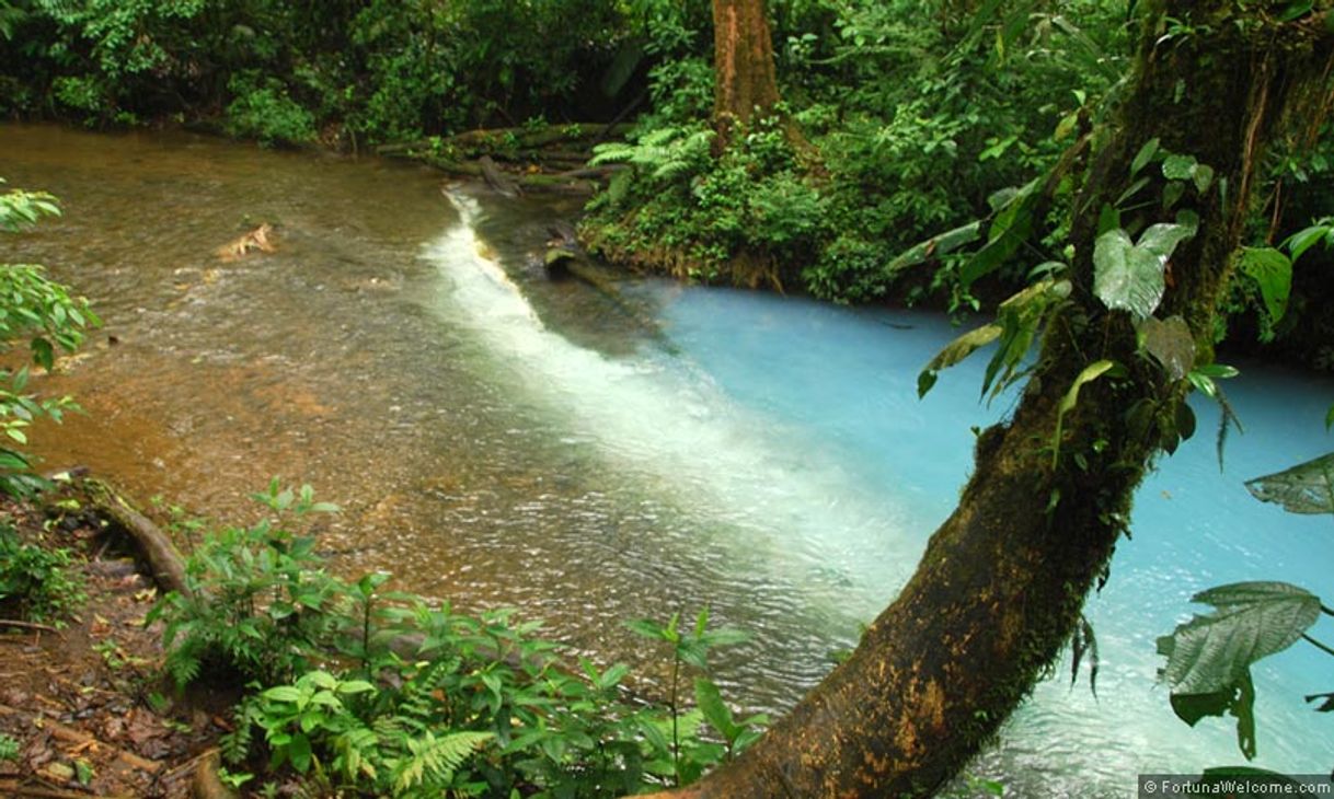 Lugar Rio Celeste y Los Teñideros