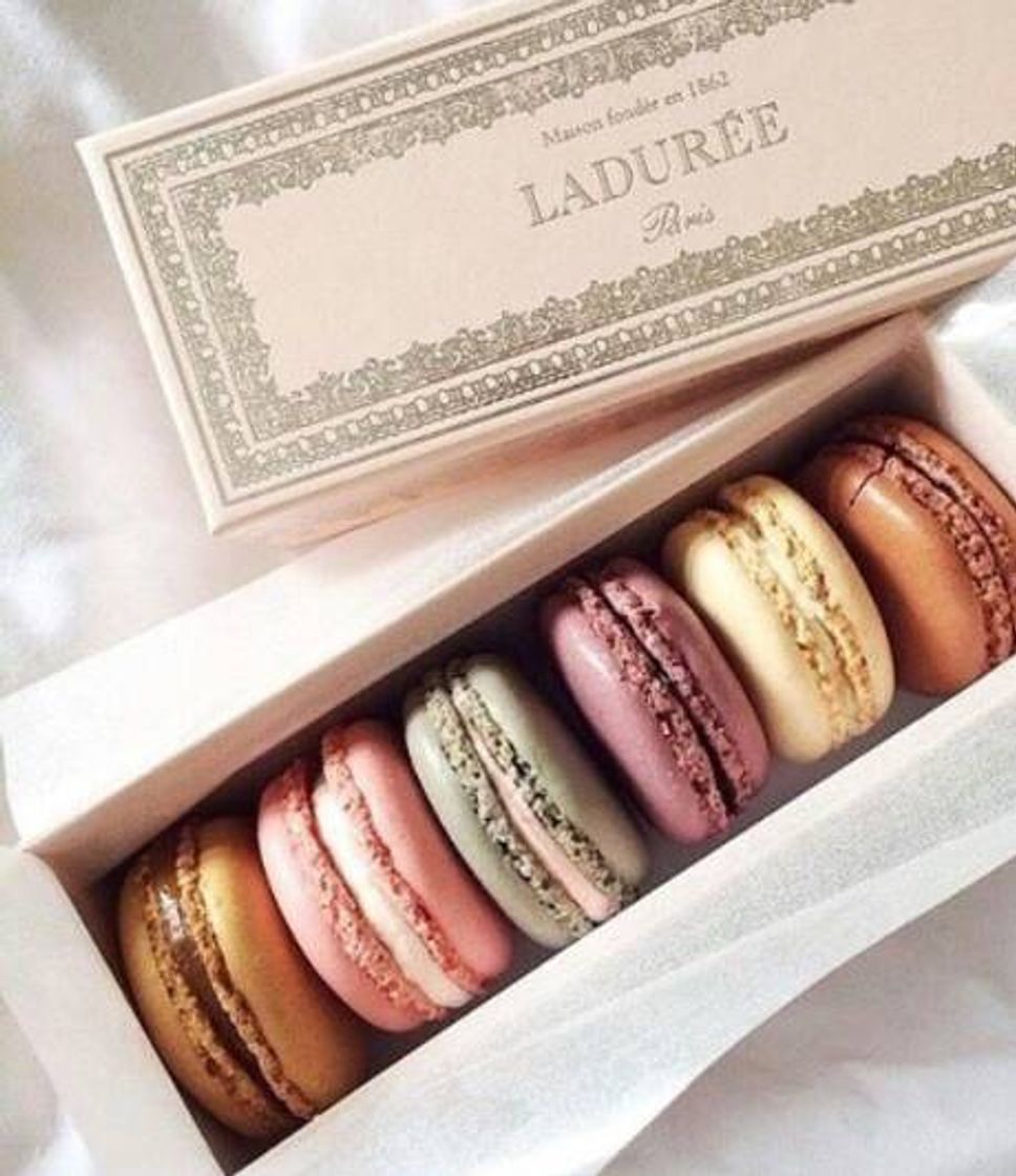 Fashion Macarons 