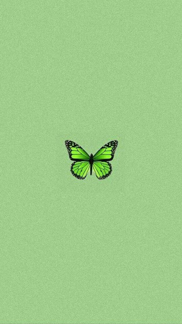 Fashion Wallpaper butterfly green