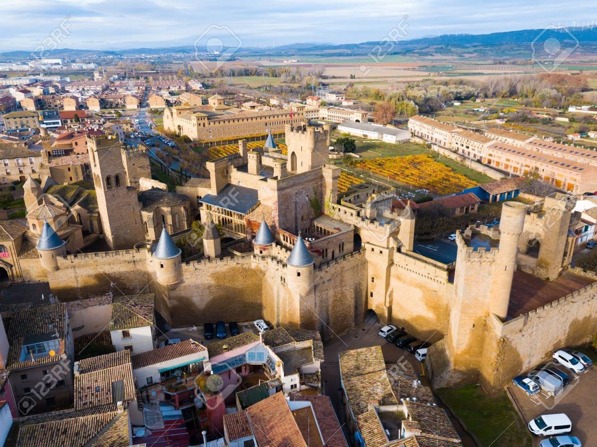 Lugar Palacio Real de Olite