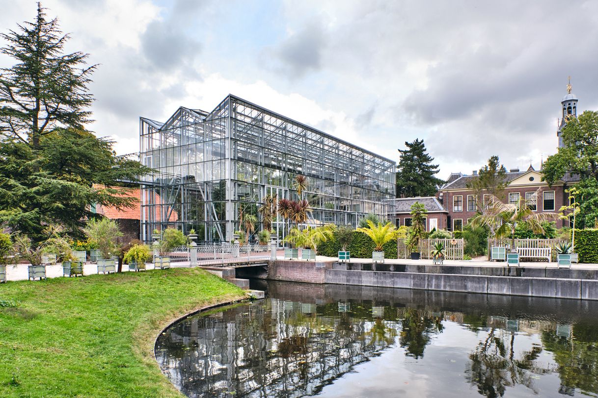 Place Hortus Botanicus Leiden