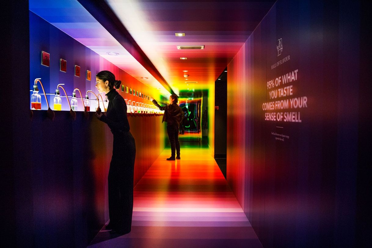 Place House of Bols, the Cocktail & Genever Experience