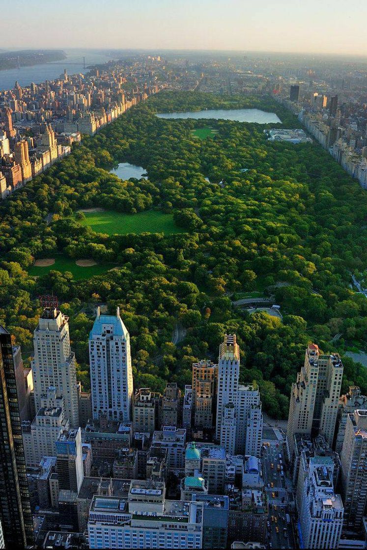 Social NYC
