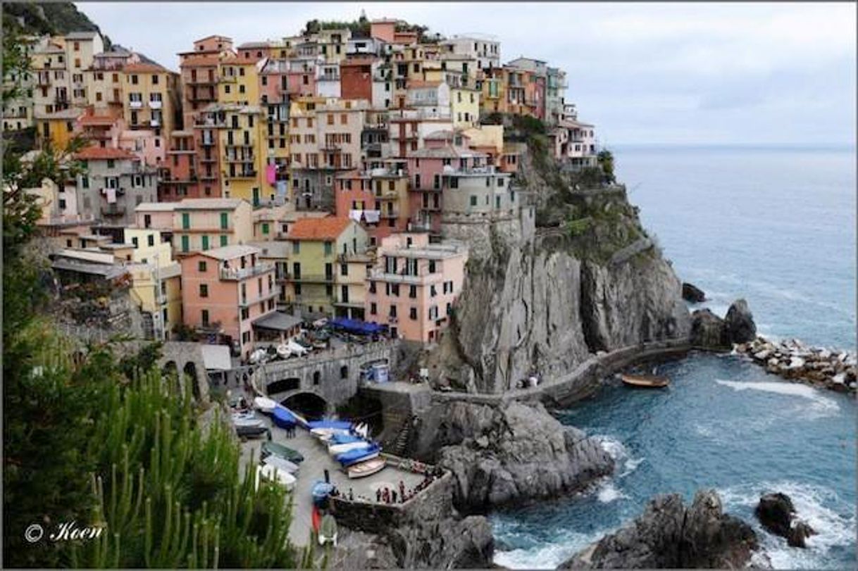 Place Manarola