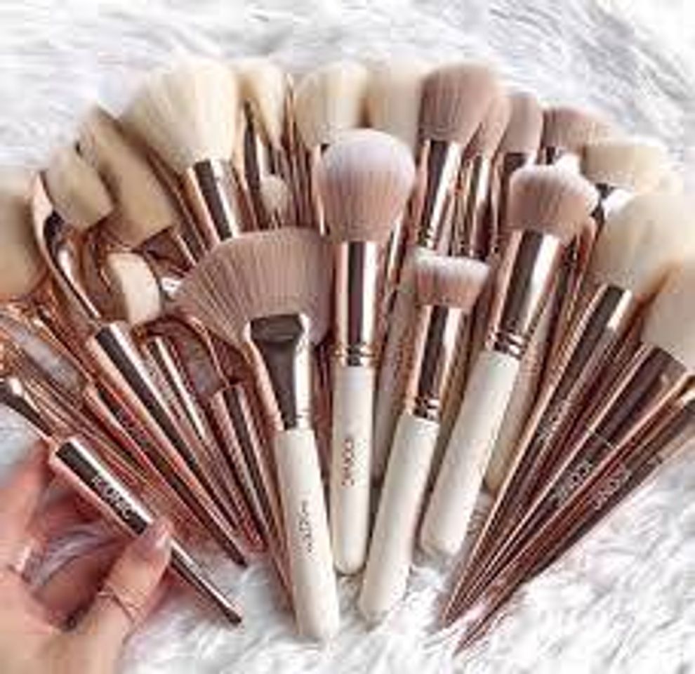 Fashion Brushes