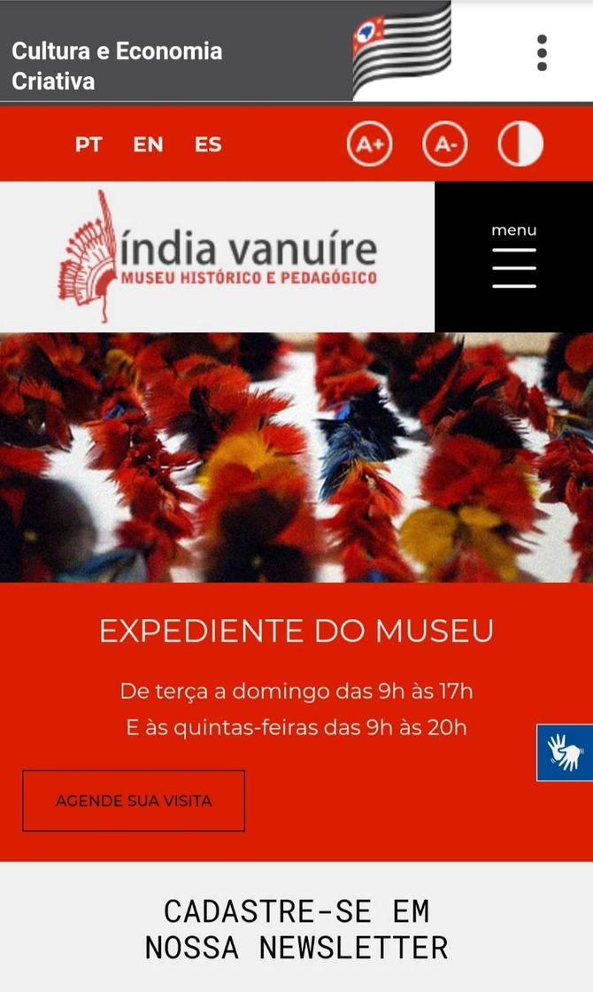 Social Museu Pedagógico Índia Vanuíre 