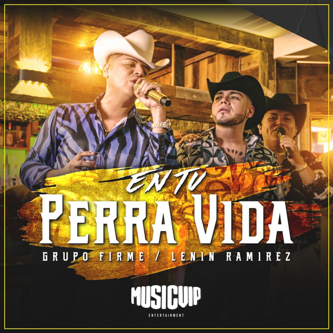 Music En Tu Perra Vida