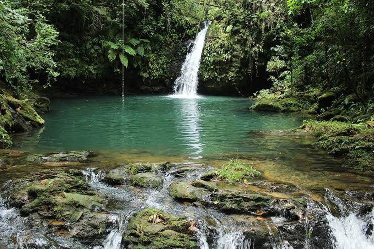 Lugar Guaraqueçaba