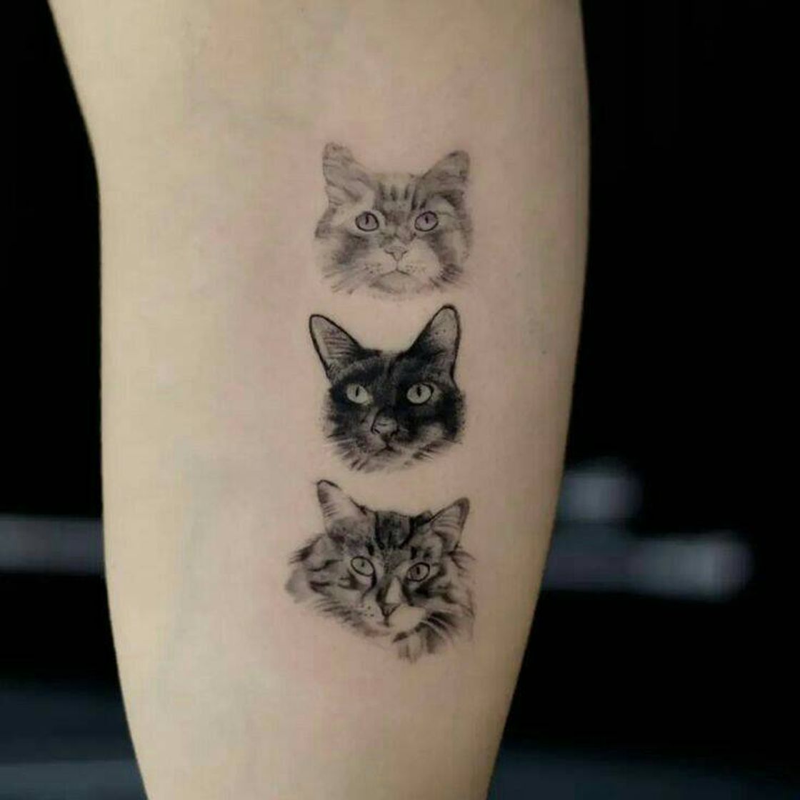 Moda °•⚫🐱 Tatoo 🐱⚫•°