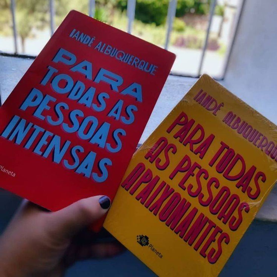 Book Para todas as pessoas intensas