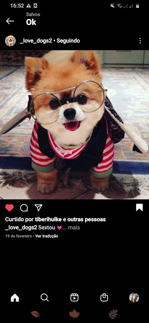 Fashion Que fofura ❤