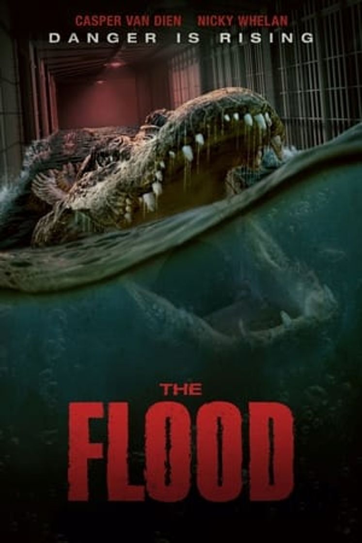 Película The Flood