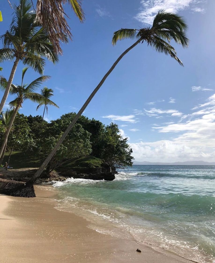 Lugar Isla Saona