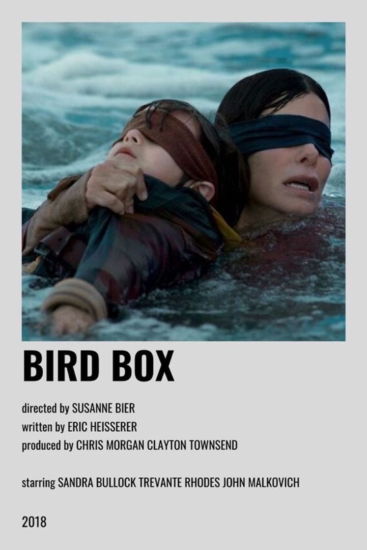 Movies Bird Box (2018)