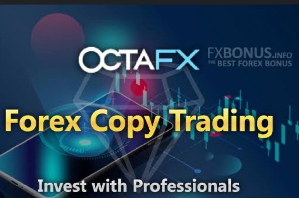 App OctaFx copy trader