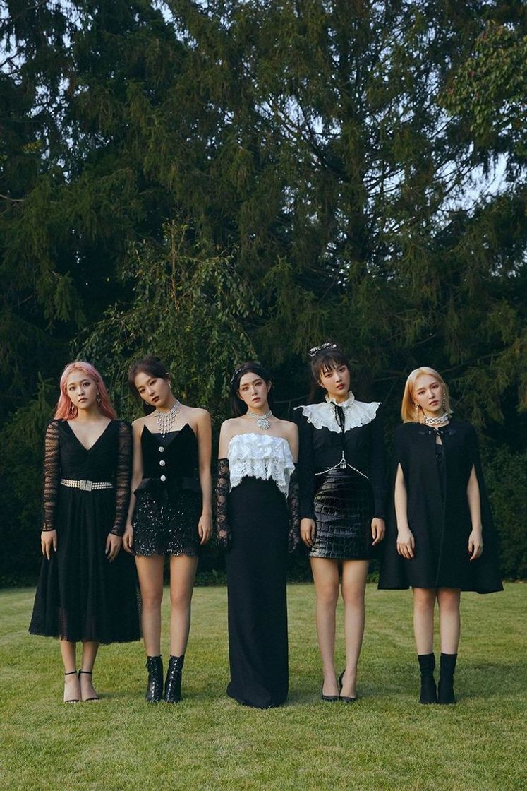 Social Red Velvet