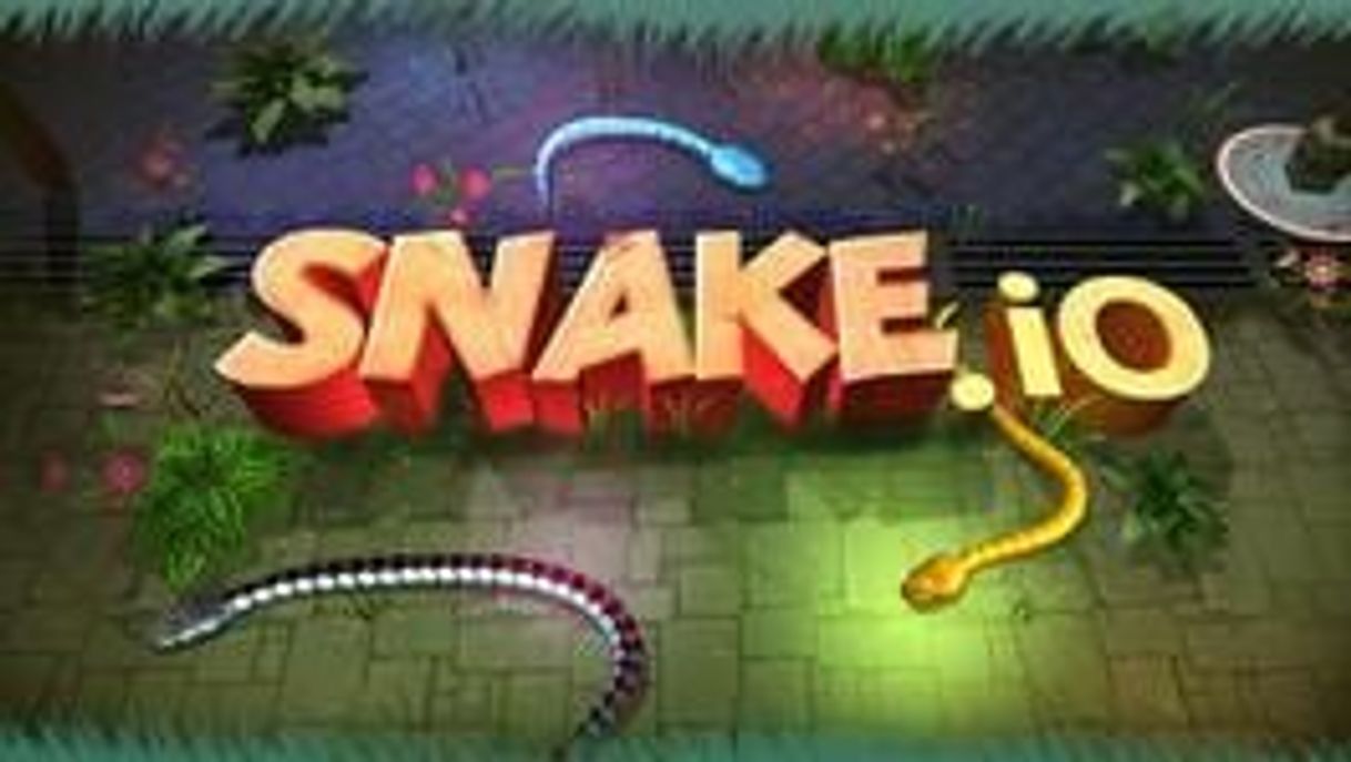 Videogames 3D Snake . io