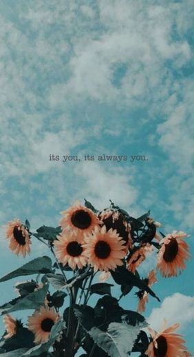 Its you, its always you