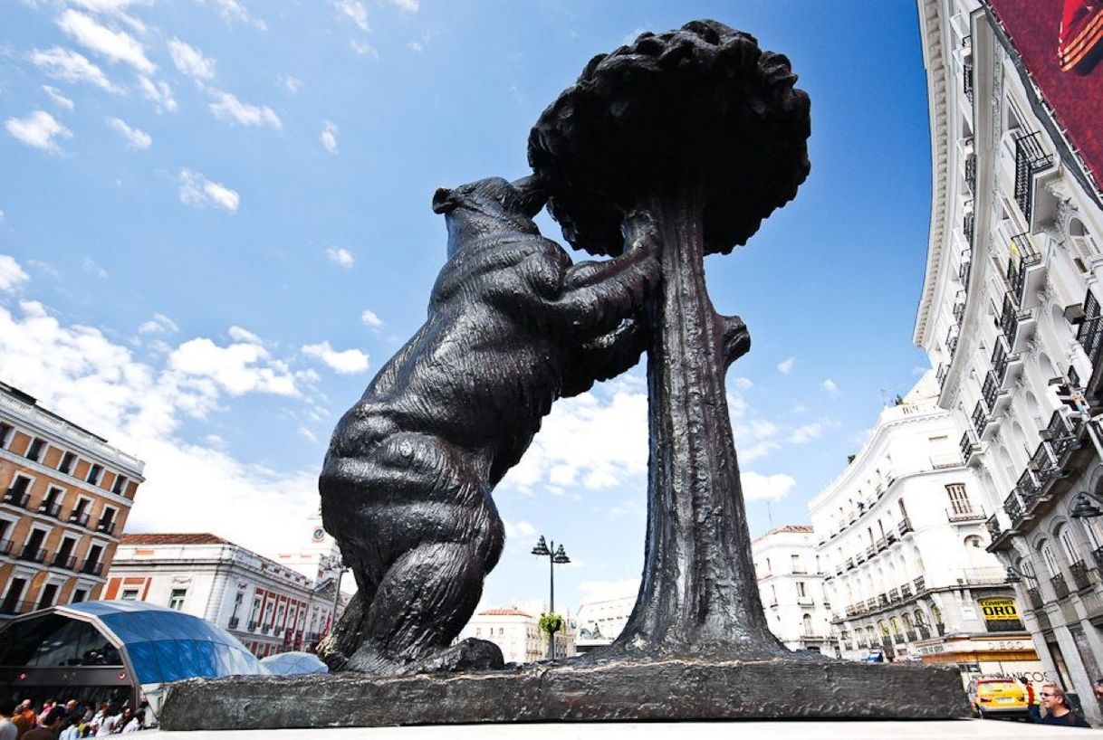 Place El Oso y el Madroño