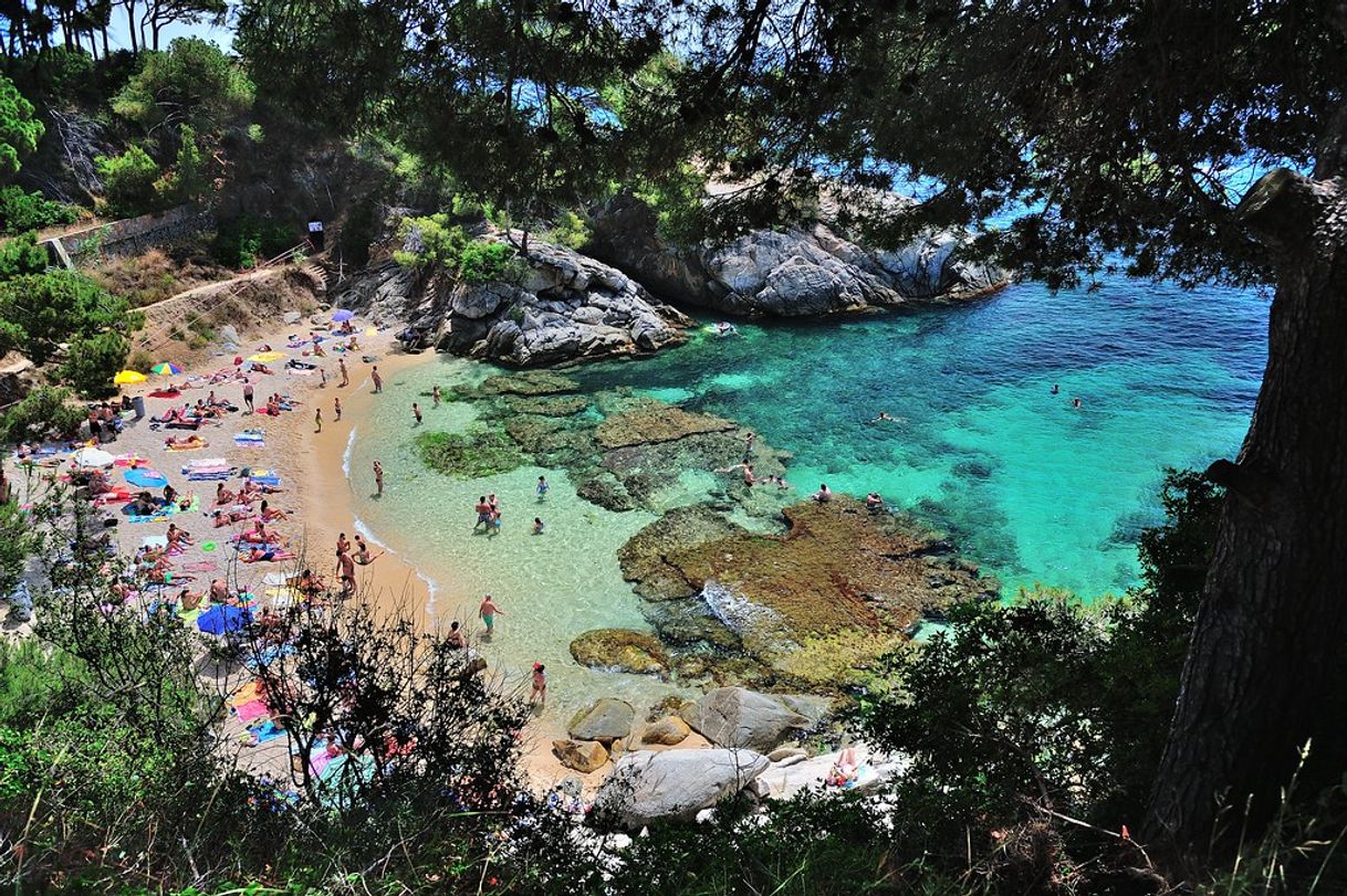 Place Cala del Pi