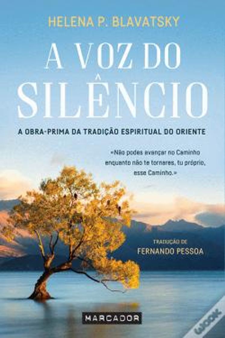 Book A voz do silêncio