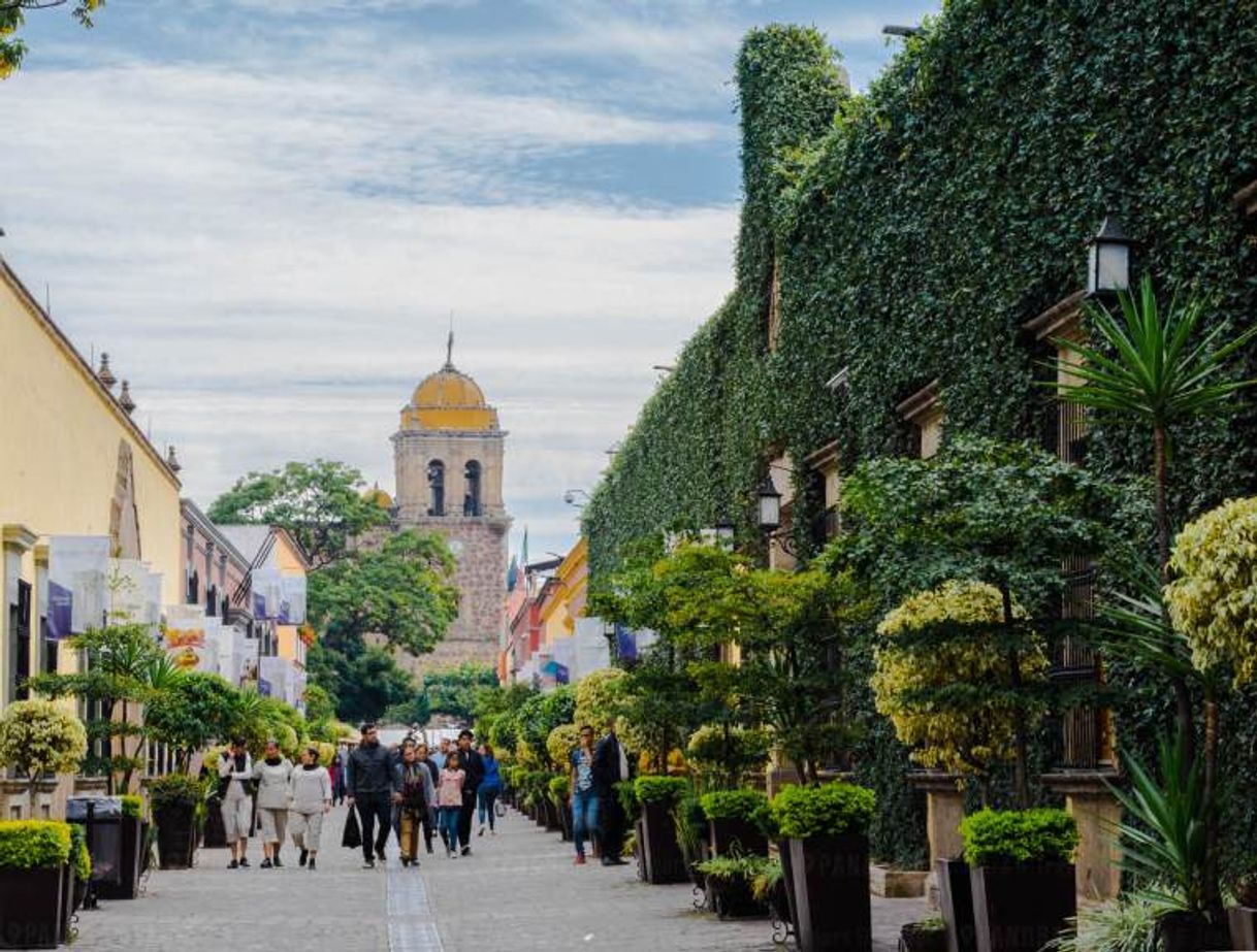 Lugar Tequila Centro