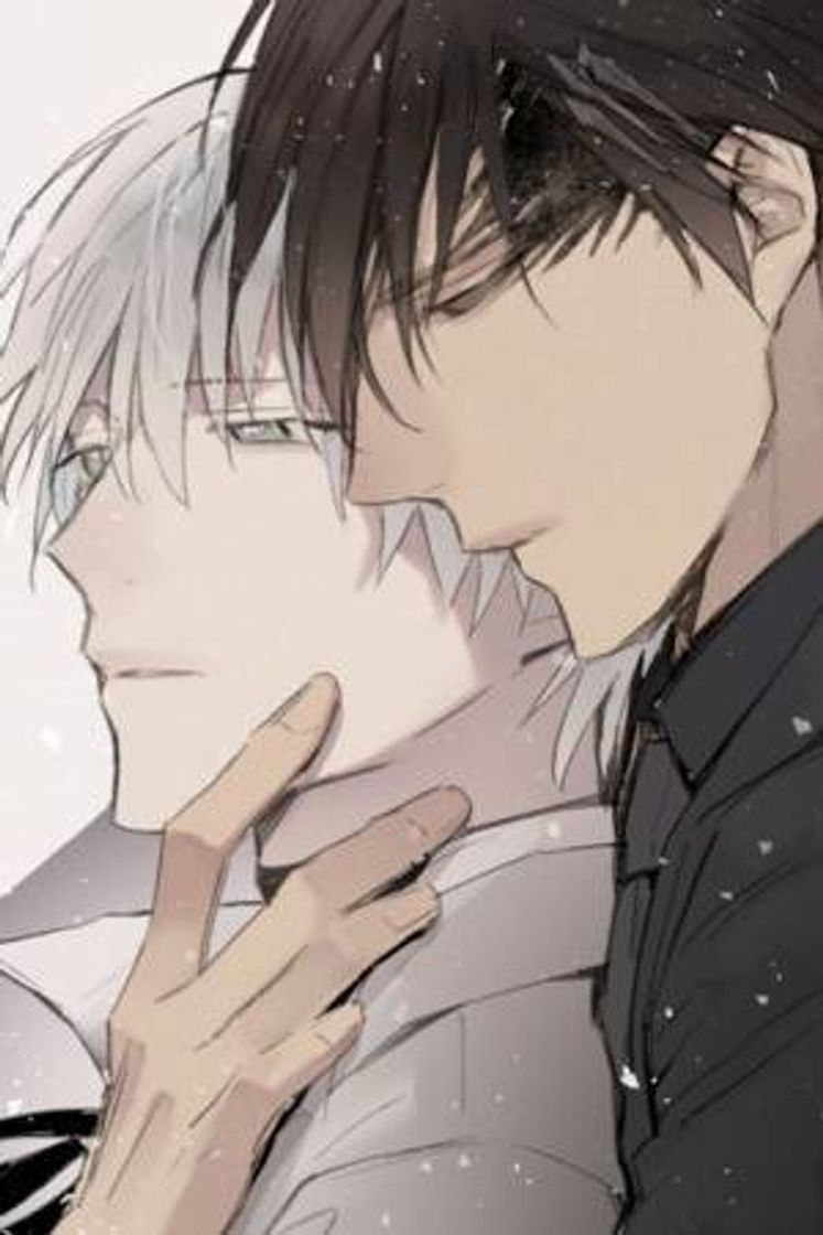 Libro Royal Servant 