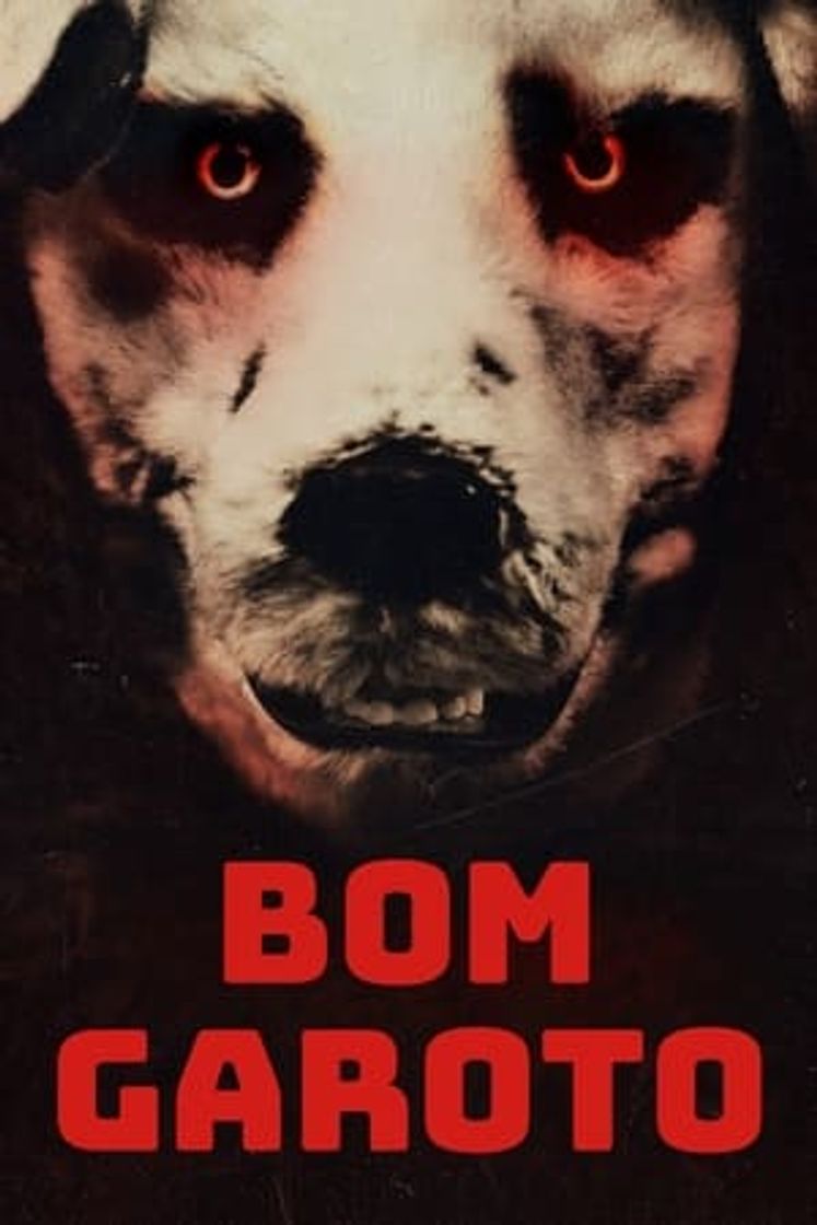Movie Good Boy
