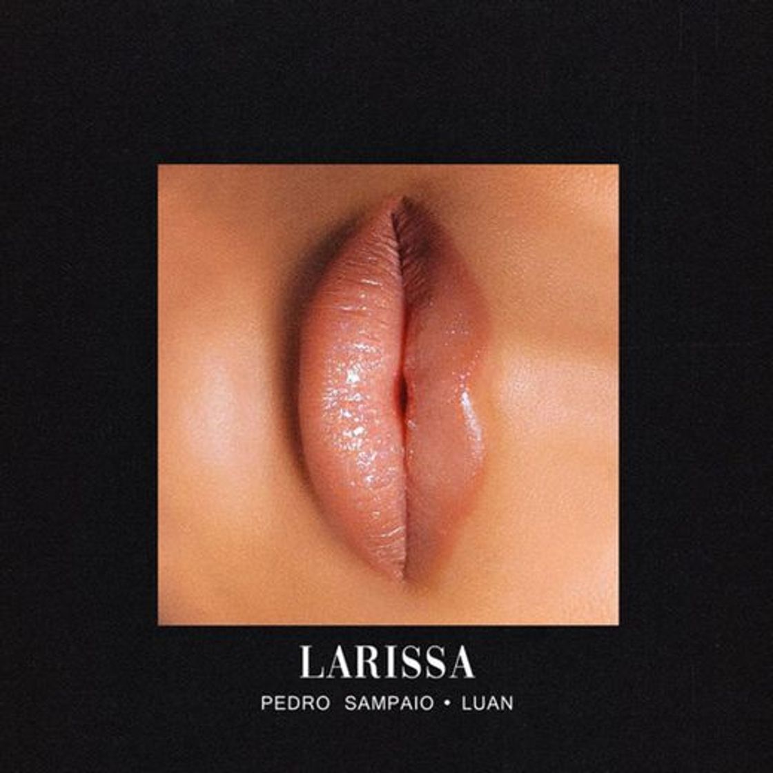 Canción LARISSA