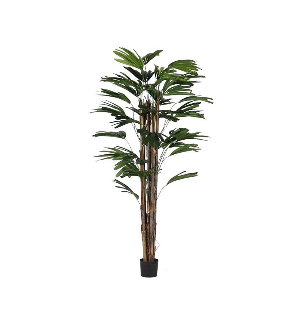 Producto raphis Excelsa verde – Árbol artificial