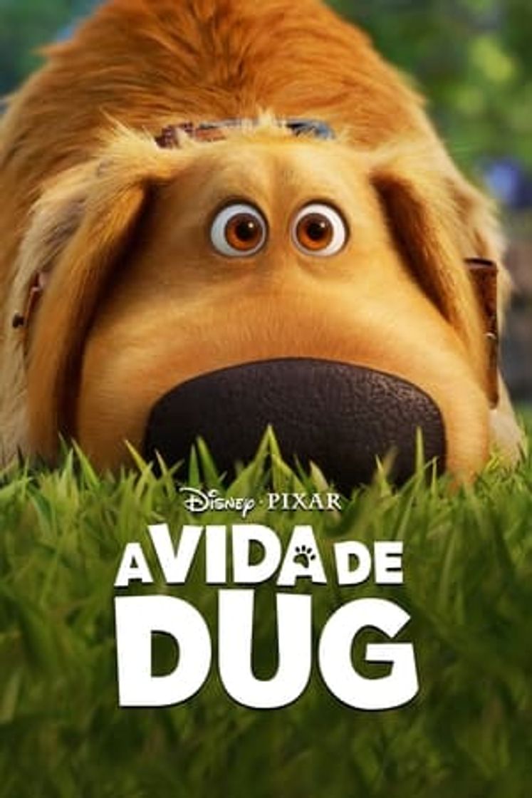 Serie Dug y Carl